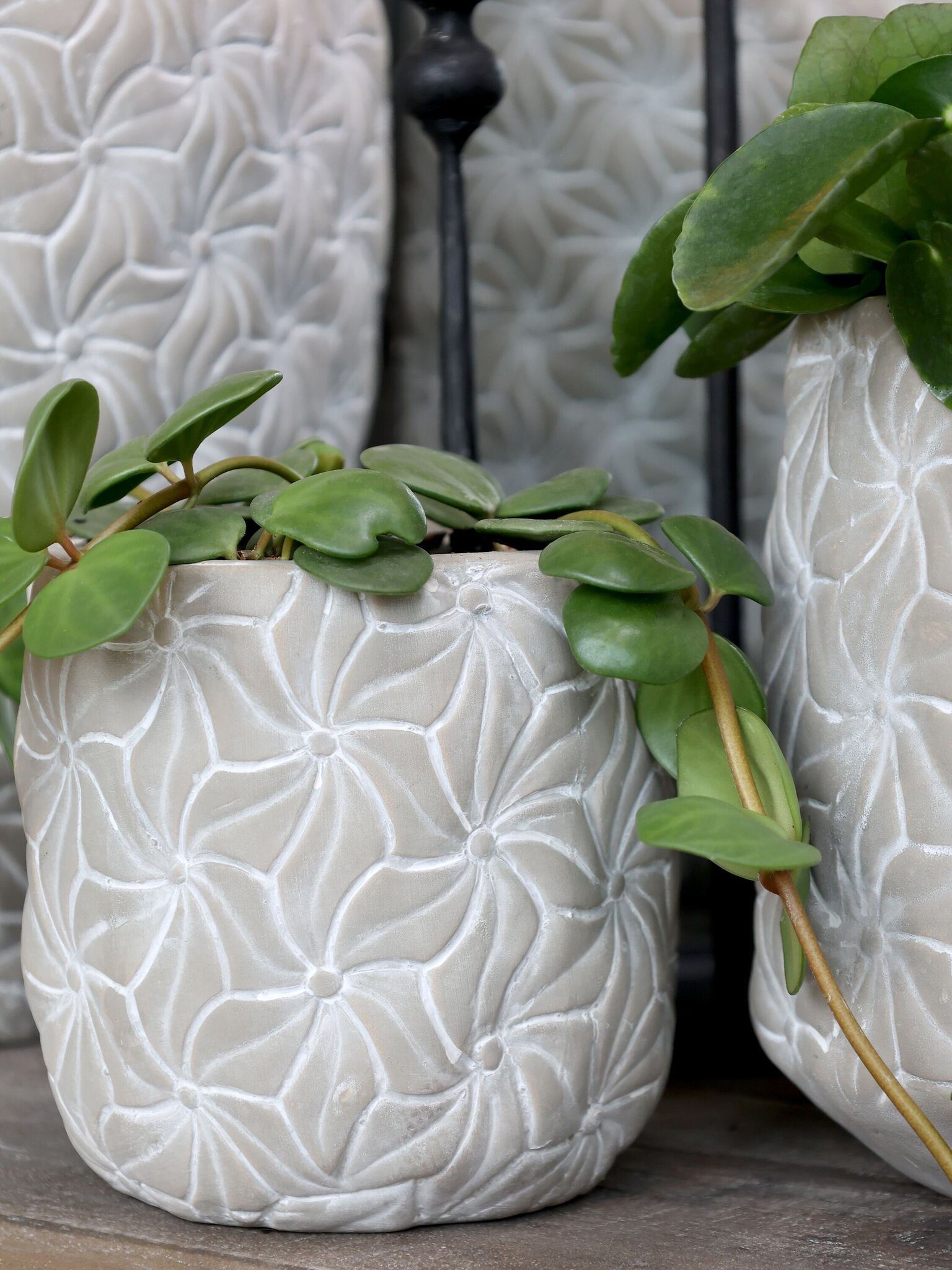Chic Antique Blumentopf Colmar Blumenmotiv