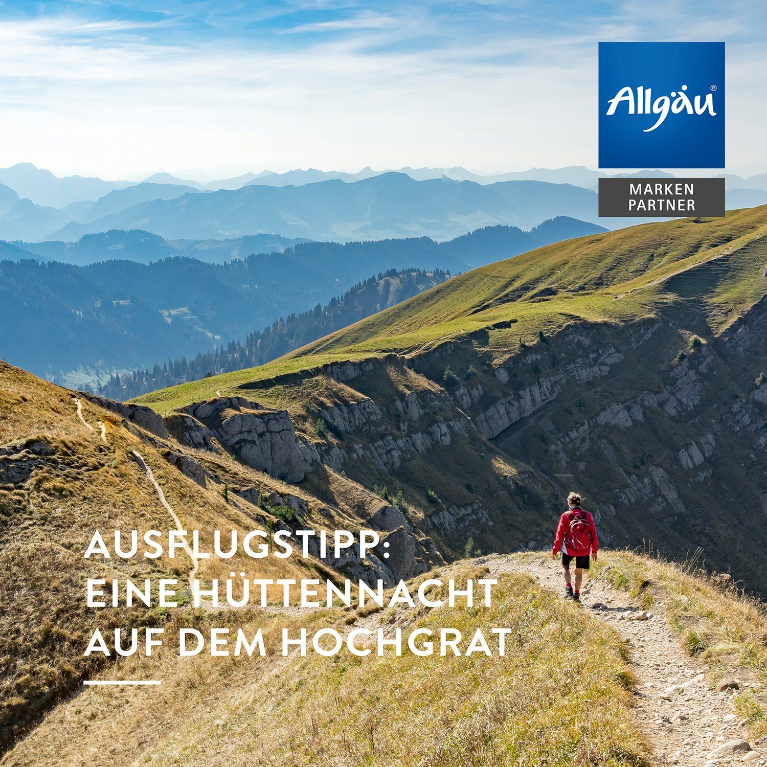 Allgäuquelle Raumduft Bio Infrarotkabinen-Spray Allgäuer Nachtruhe Raumduft (1 x 100ml), mit Lavendel, Zirbelkiefer und Eukalyptus