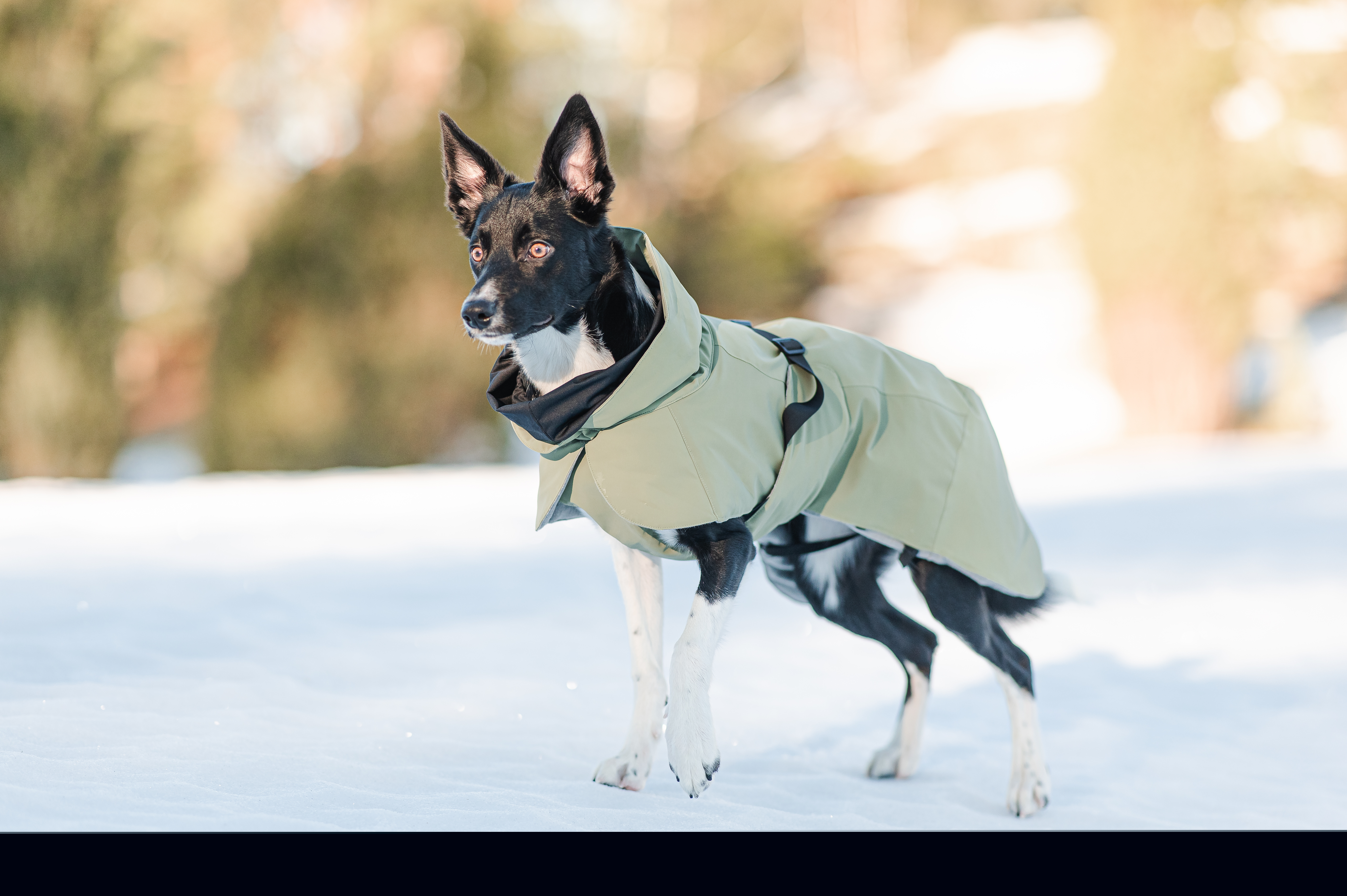 Paikka Hundemäntel Paikka Visibility Winter Jacket green 30 cm