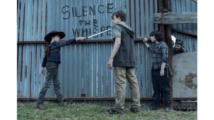 The Walking Dead - Staffel 11  [6 BRs]