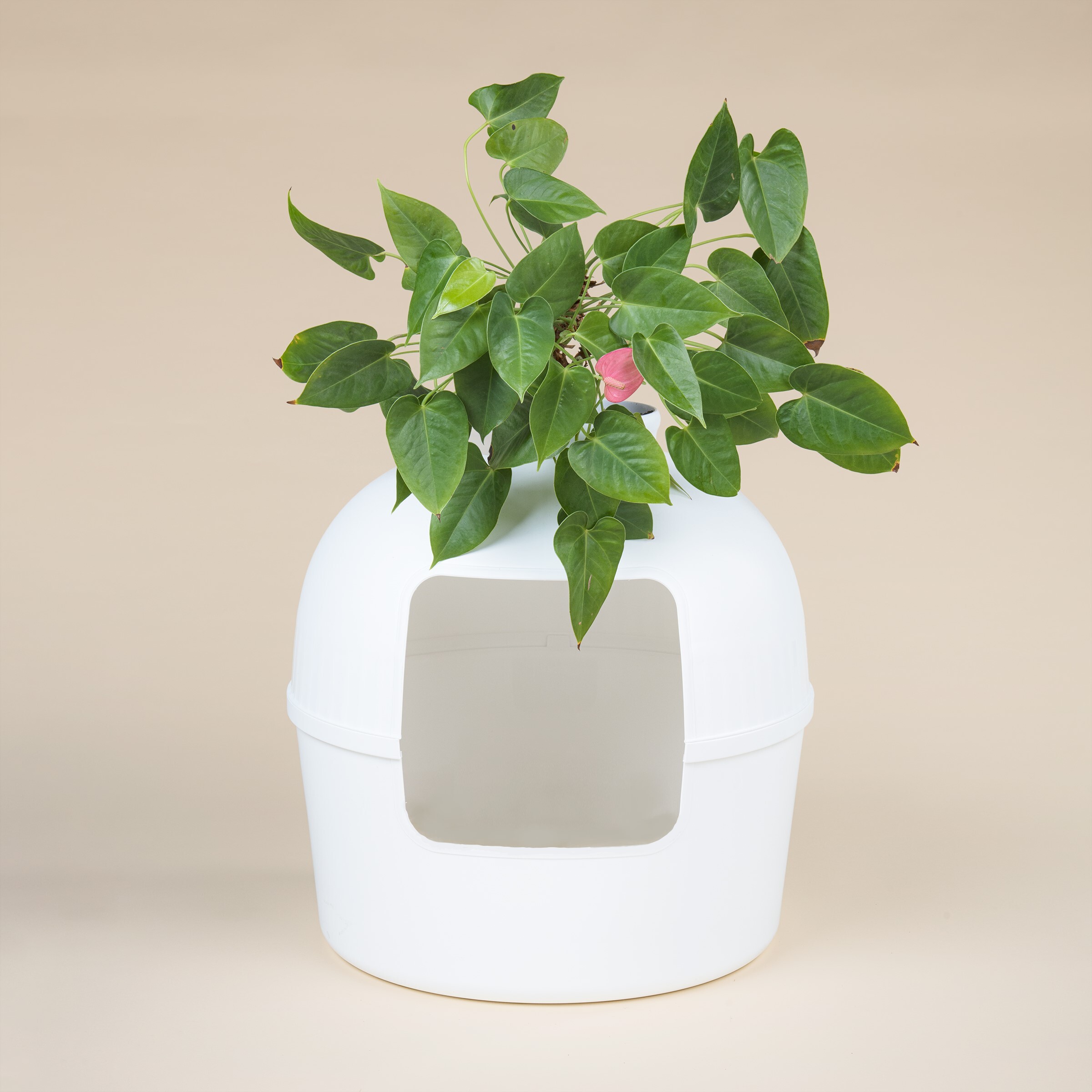 RHR Quality Katzentoiletten RHR Quality Katzentoilette Flower XXL weiß
