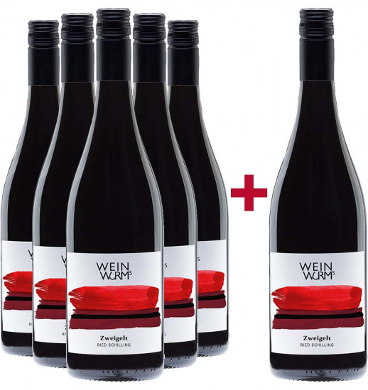 5+1 Paket Ried Schilling 