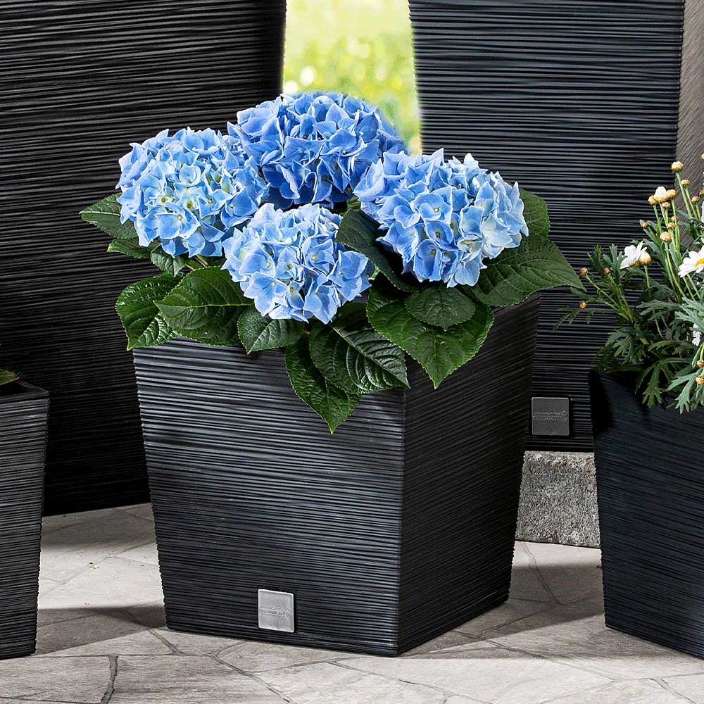 Protanic Powertec Garden Blumentopf 