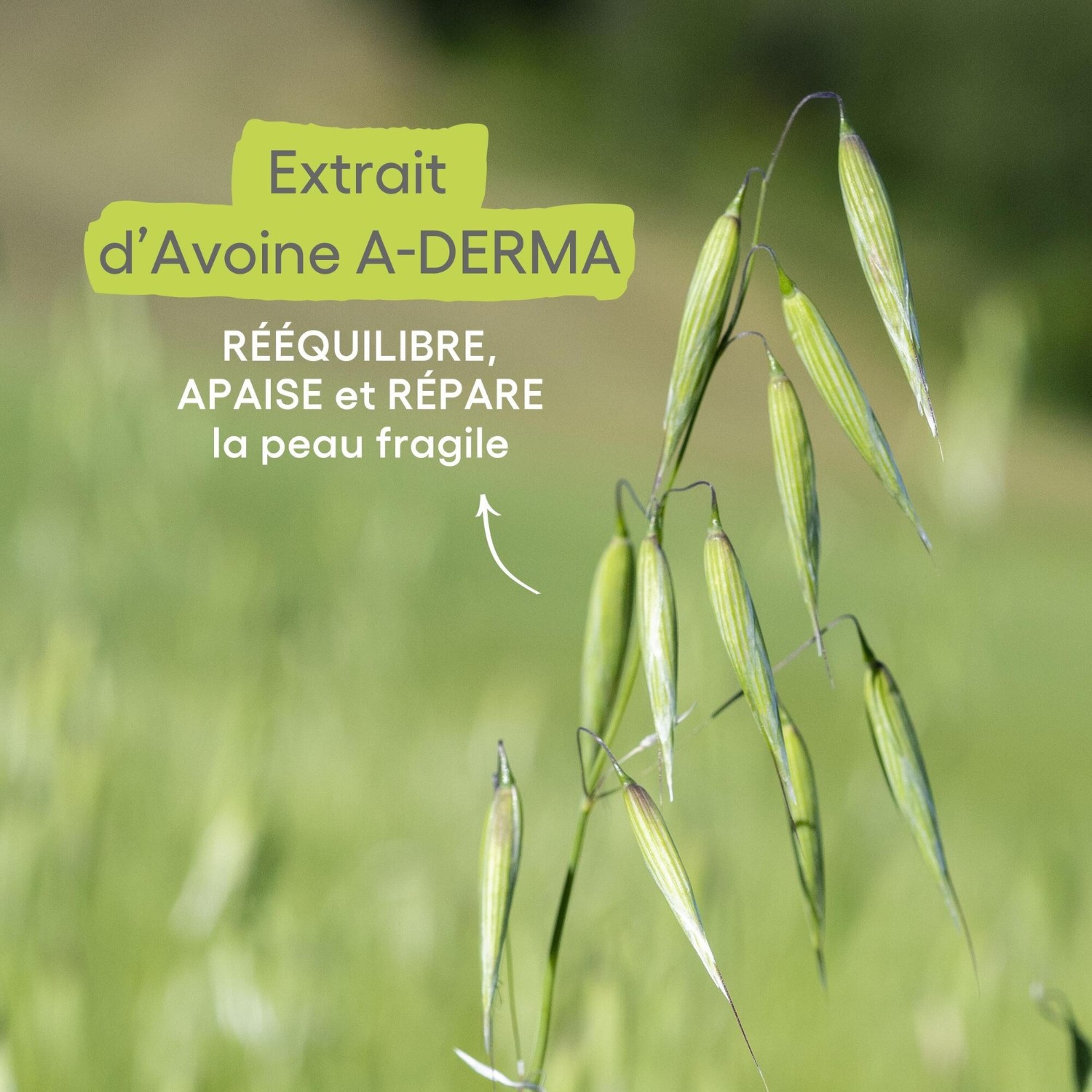 A-DERMA hidratantni losion za čišćenje beba