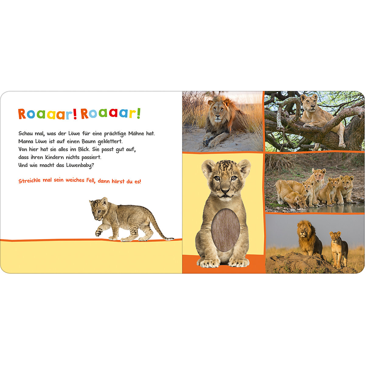Hör mal rein, wer kann das sein Zootiere, Soundbuch mit Tiergeräuschen
