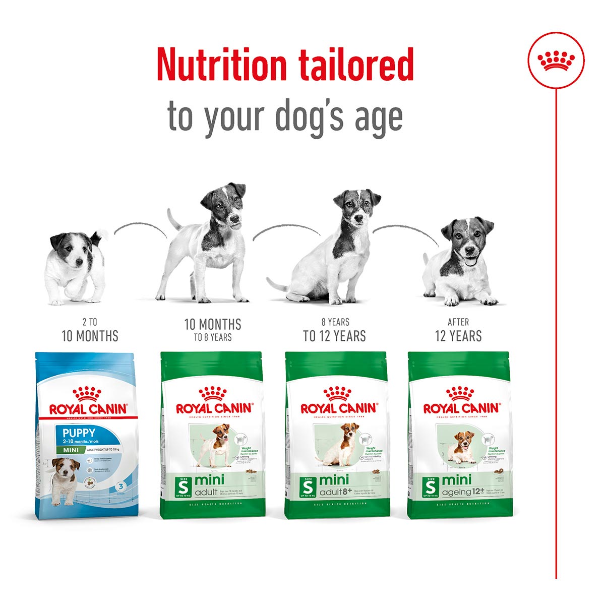 ROYAL CANIN MINI Adult 8+ Trockenfutter für ältere kleine Hunde