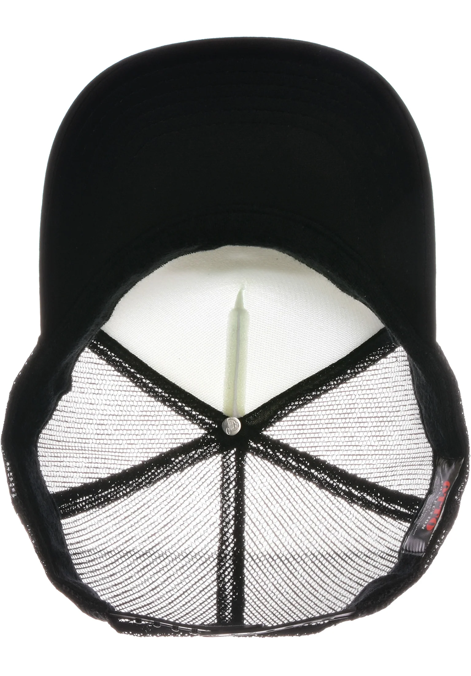Mesh Ants