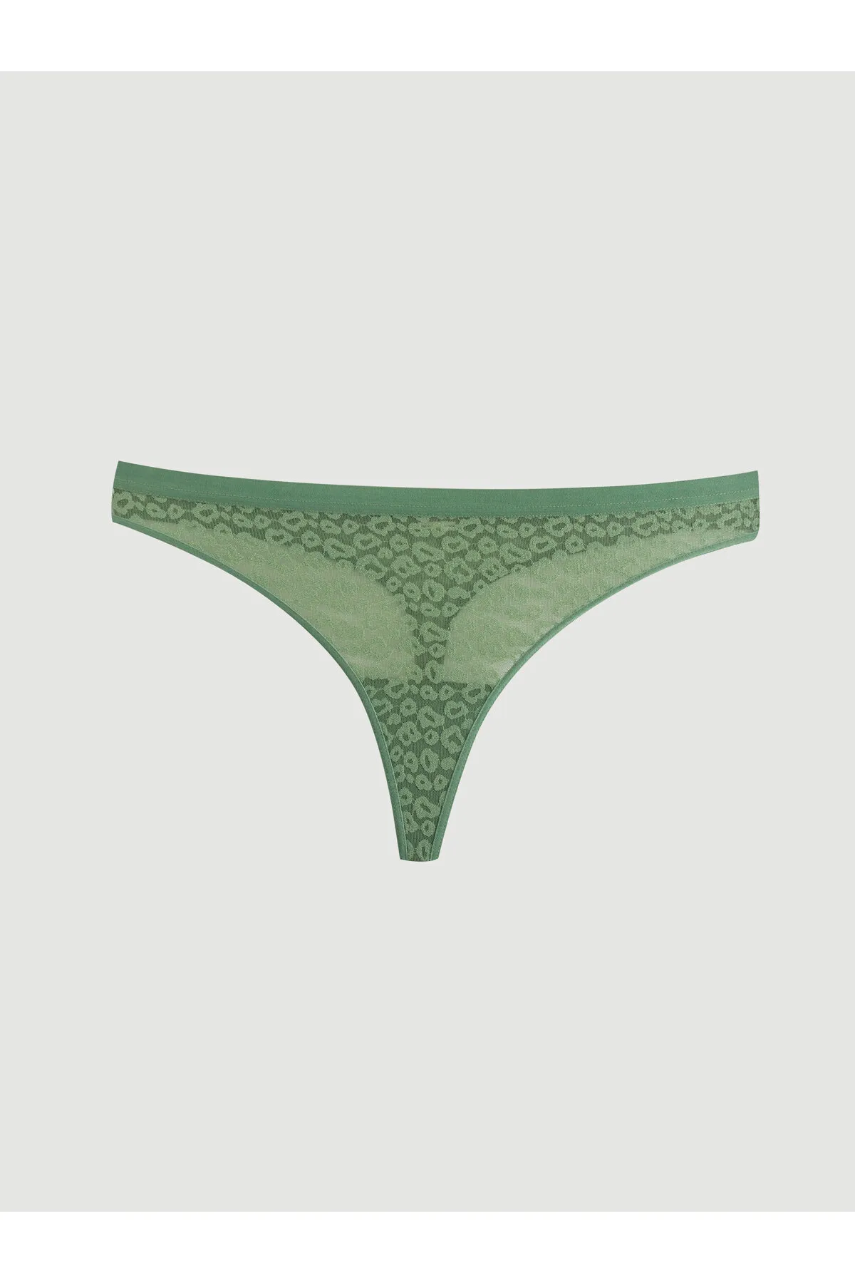 LC Waikiki  Unterhosen - Grün - Unifarben