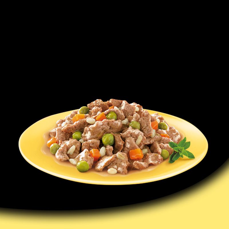 Cesar Schale 14 x 150 g