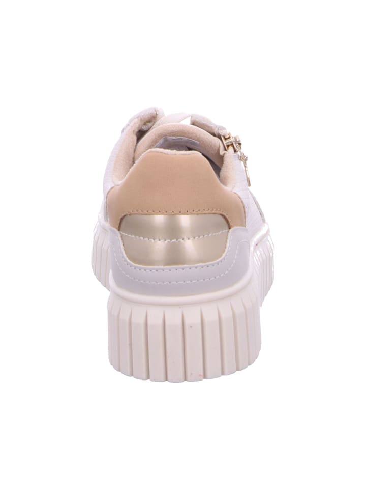 s.Oliver Schnürschuhe in CREAM COMB günstig kaufen