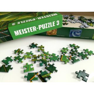 Meister-Puzzle 3 – Blätter (500 Teile)