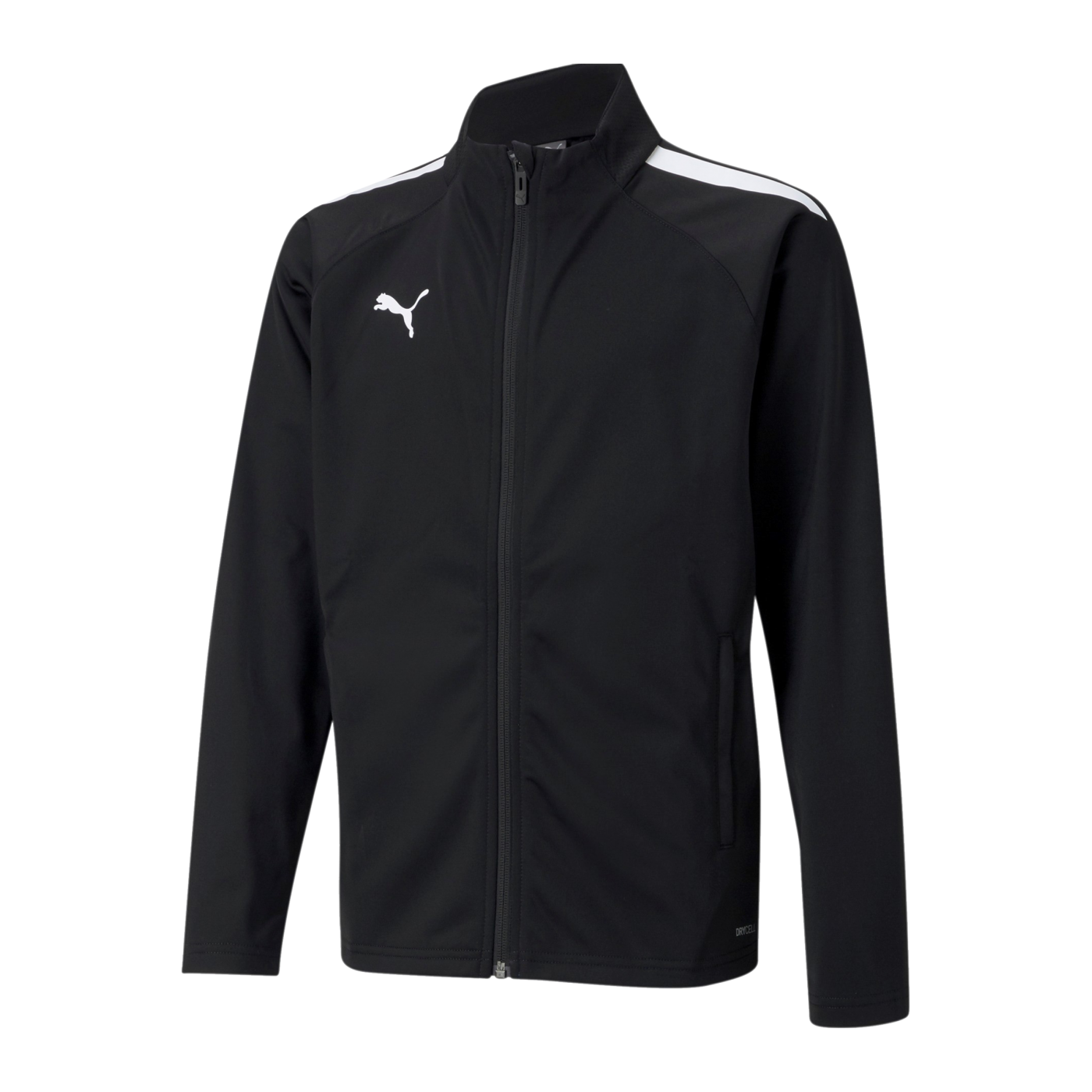 PUMA teamLIGA Trainingsjacke Kids Schwarz F03
