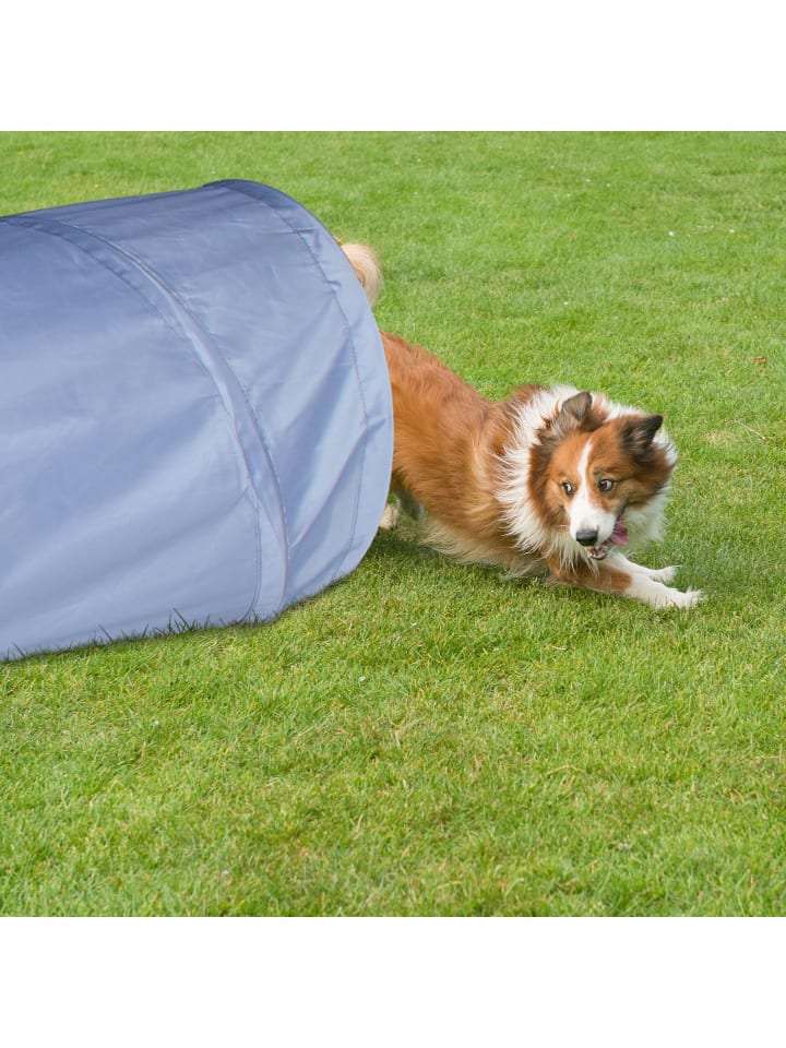 relaxdays Hundetunnel in Grau - (B)200 x Ø 40 cm günstig kaufen onesize