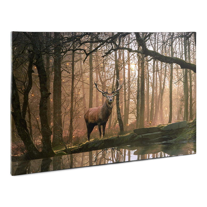 Home Canvasbilde 38x58 cm LED/fiberoptik Autumn