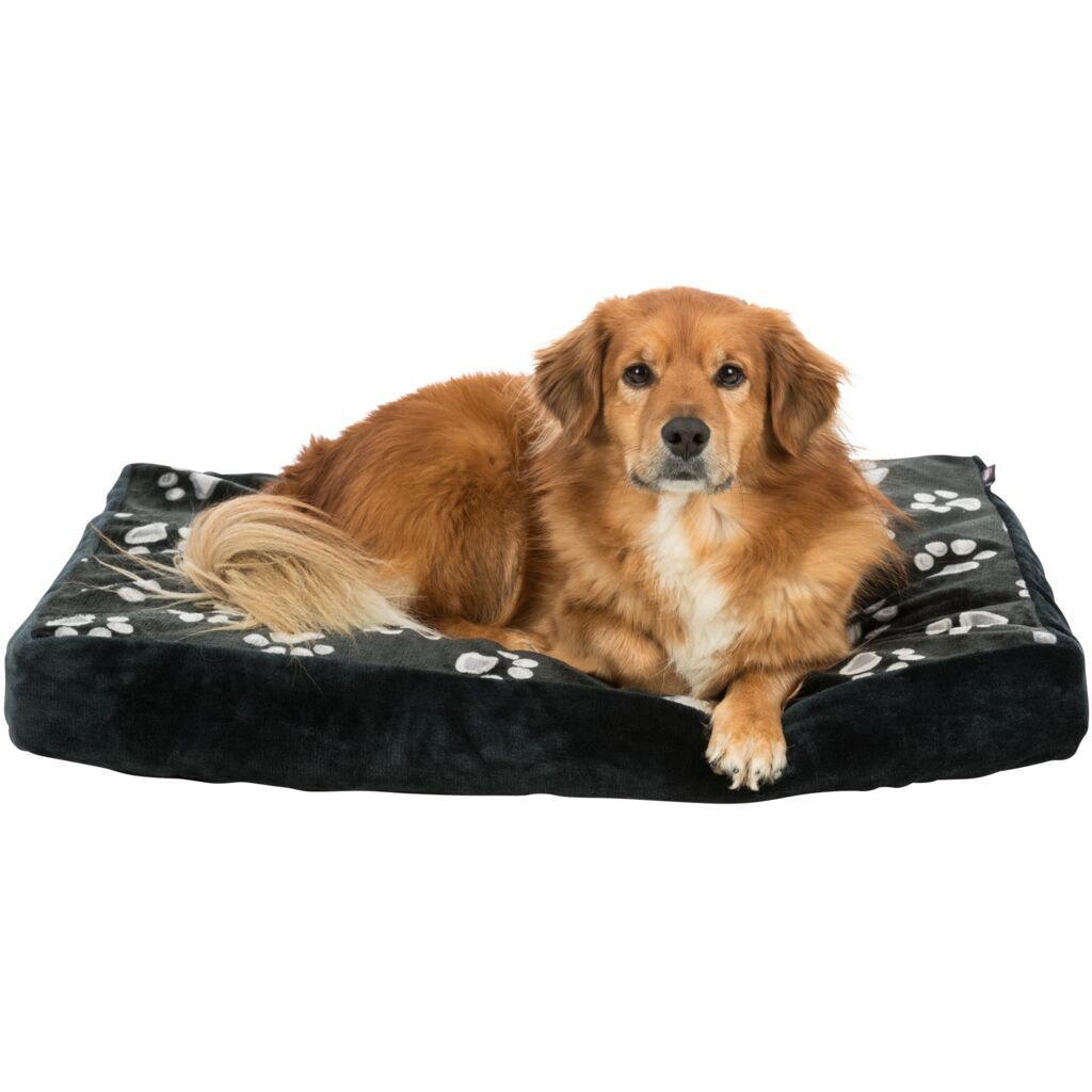Trixie Hundekissen Trixie Kissen Jimmy schwarz 55 cm, 10 cm, 55 cm