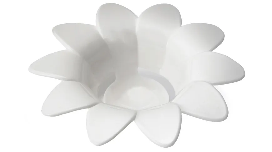 Peleg Eitrenner Daisy