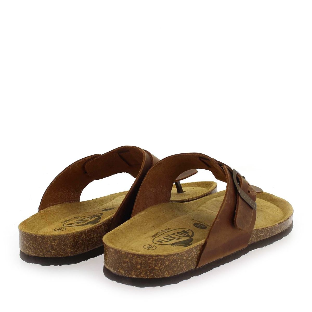Plakton   BERDIE - Camel