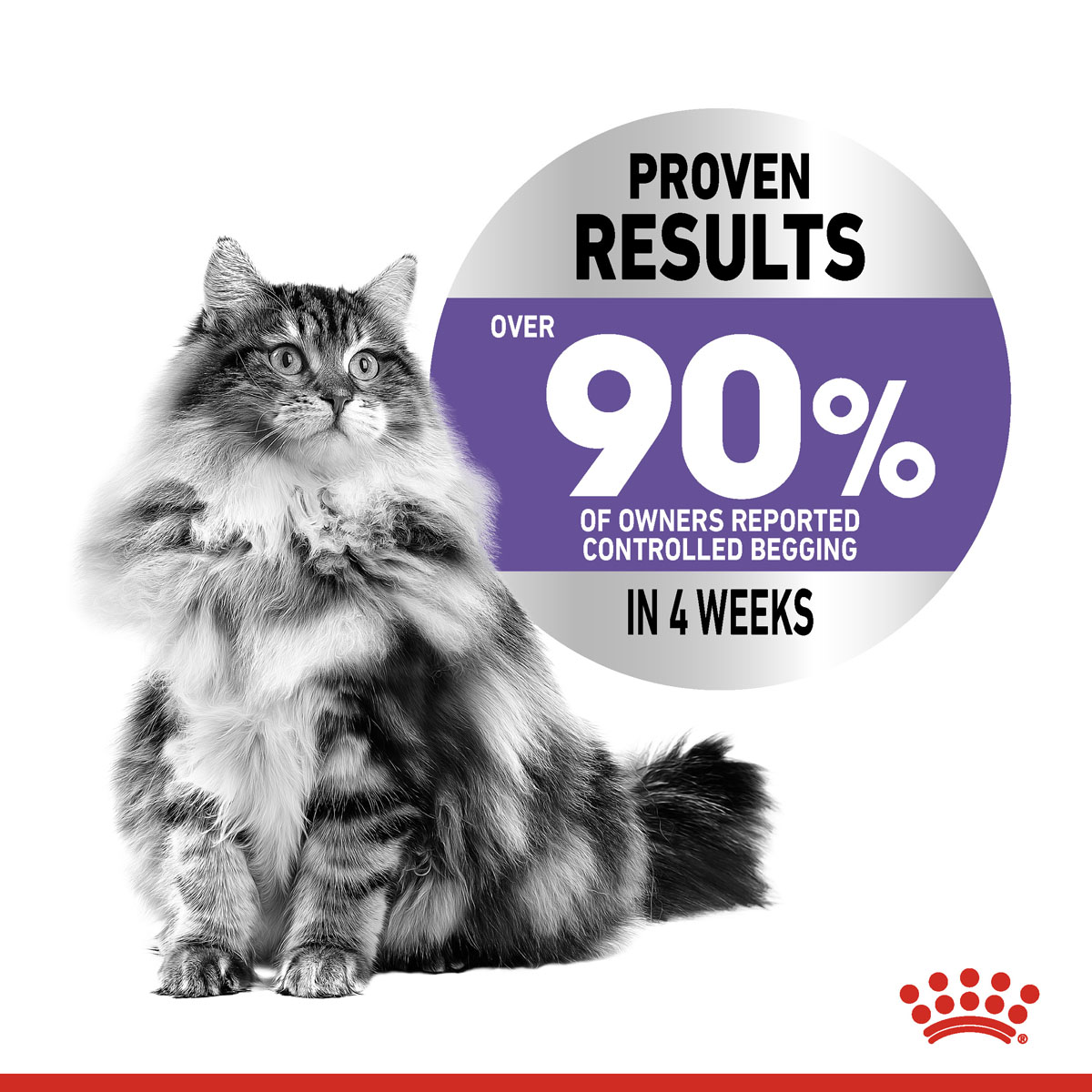 Royal Canin FCN Appetite Control günstig kaufen