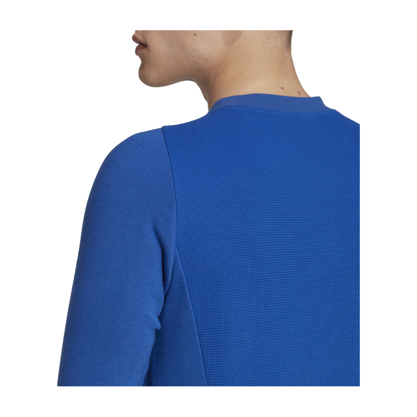 adidas Tiro 23 Competition Sweatshirt Blau