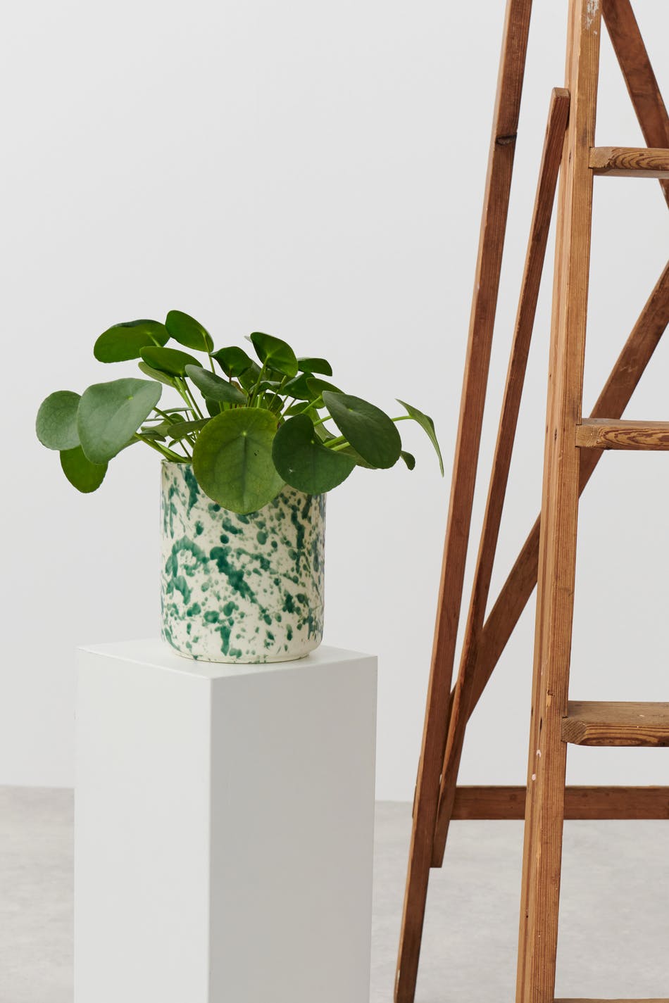 Spot flower pot