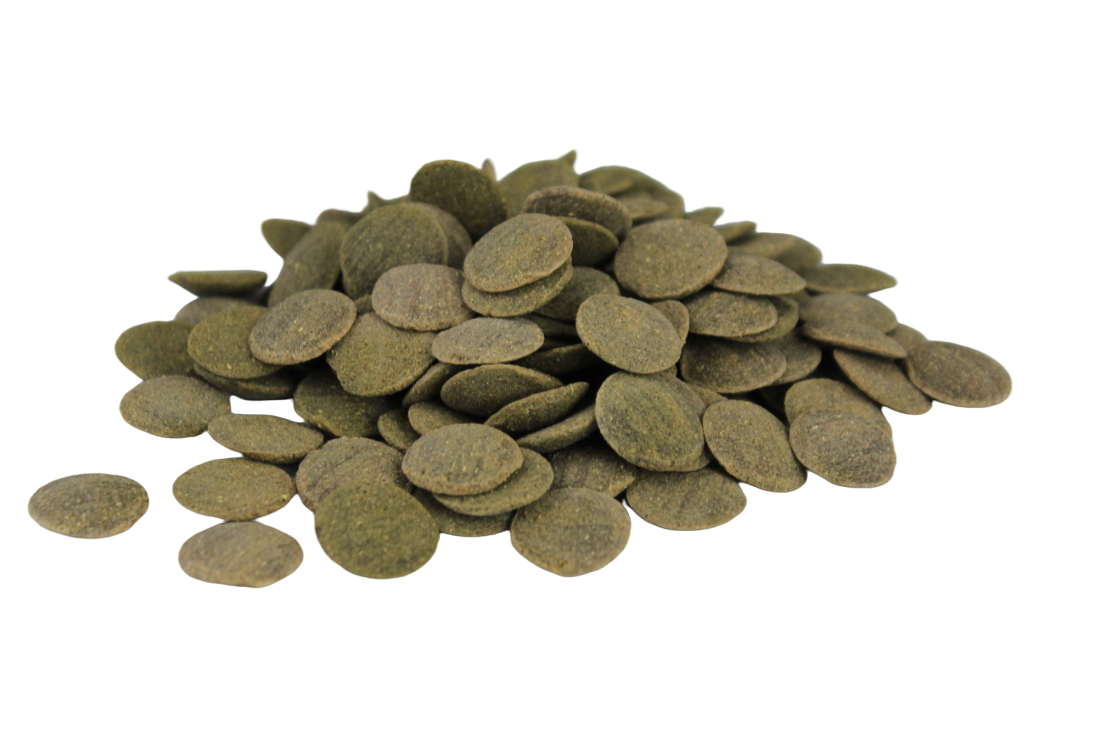 Silbermann Hauptfutter Silbermann Algae Catfish Wafers