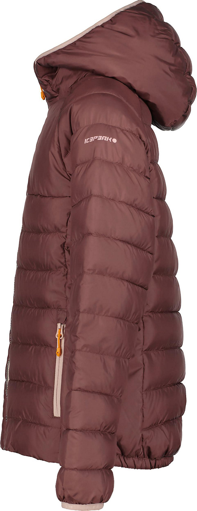 Winter Jacket