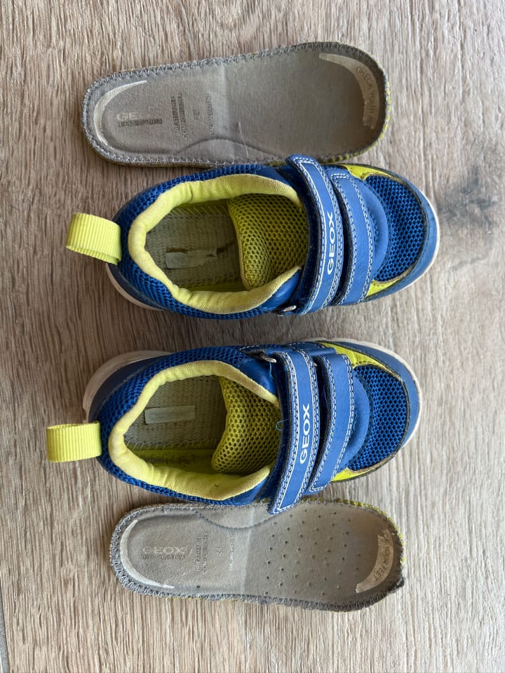Geox Sneakers 