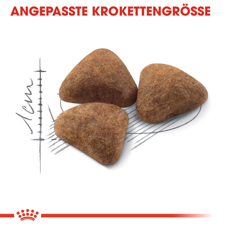 ROYAL CANIN Trockenfutter ROYAL CANIN Home Life Indoor 27 10+2kg