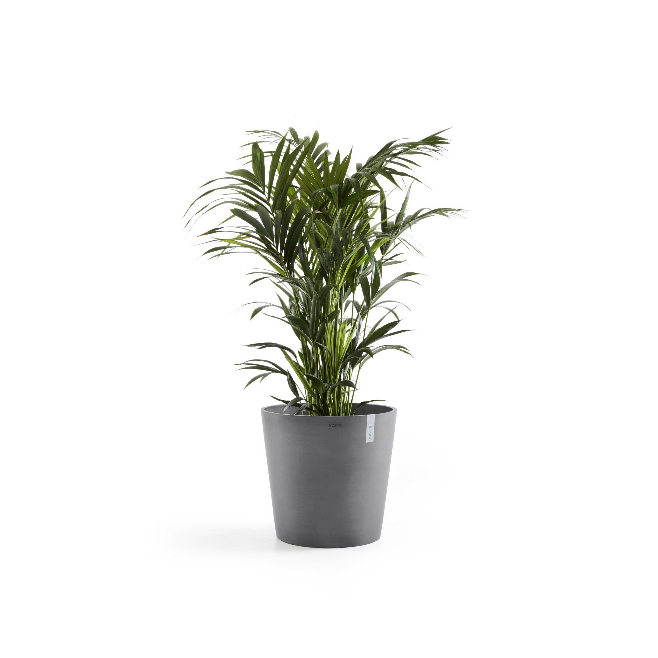 ECOPOTS Blumentopf Amsterdam, ØxH: 50x43,8 cm