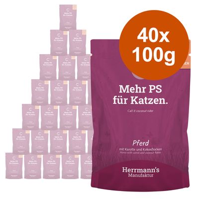 Sparpaket Herrmann's Selection 40 x 100 g