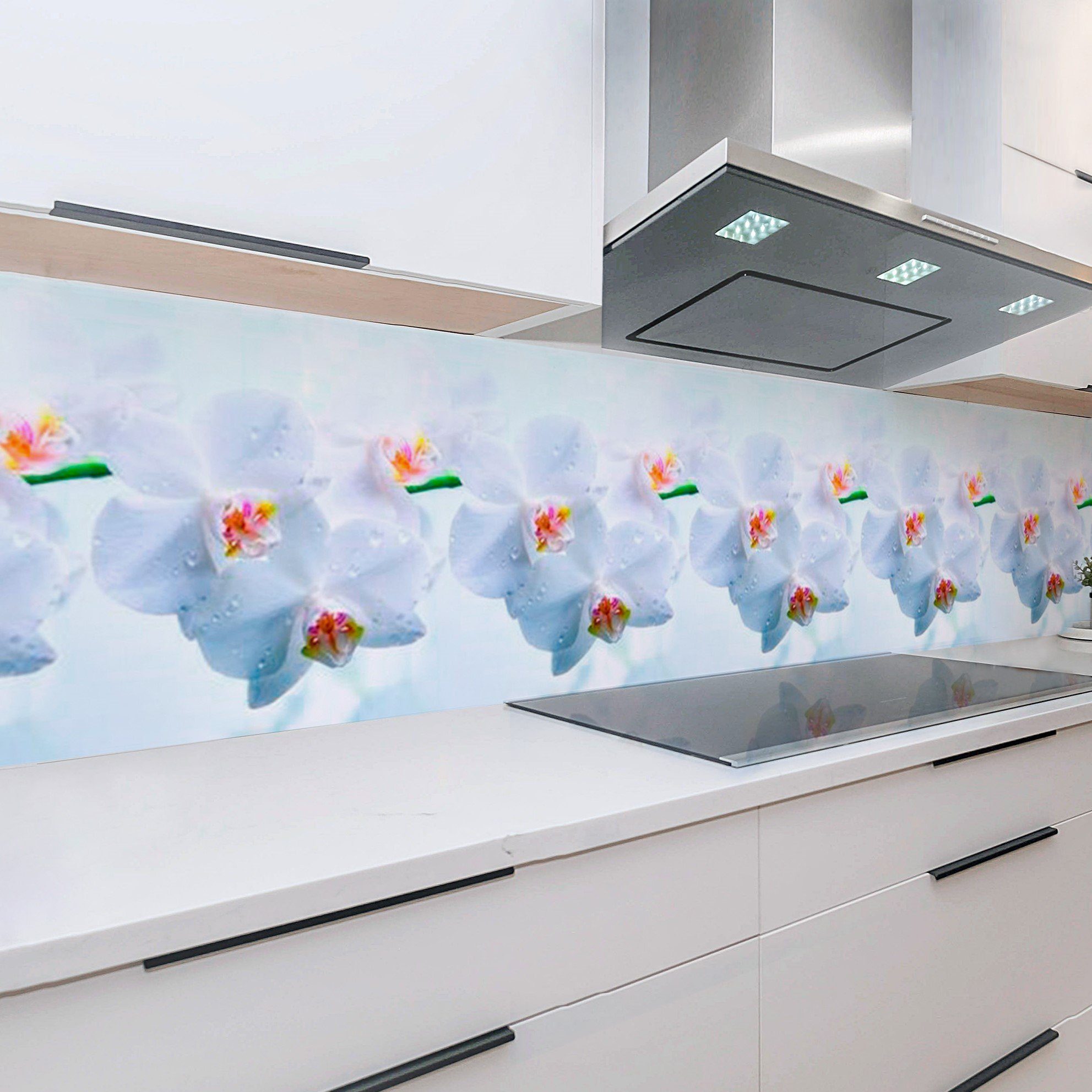 Rodnik Küchenrückwand Orchideen, robuste Kunststoff Platte Monolith in PREMIUM Qualität