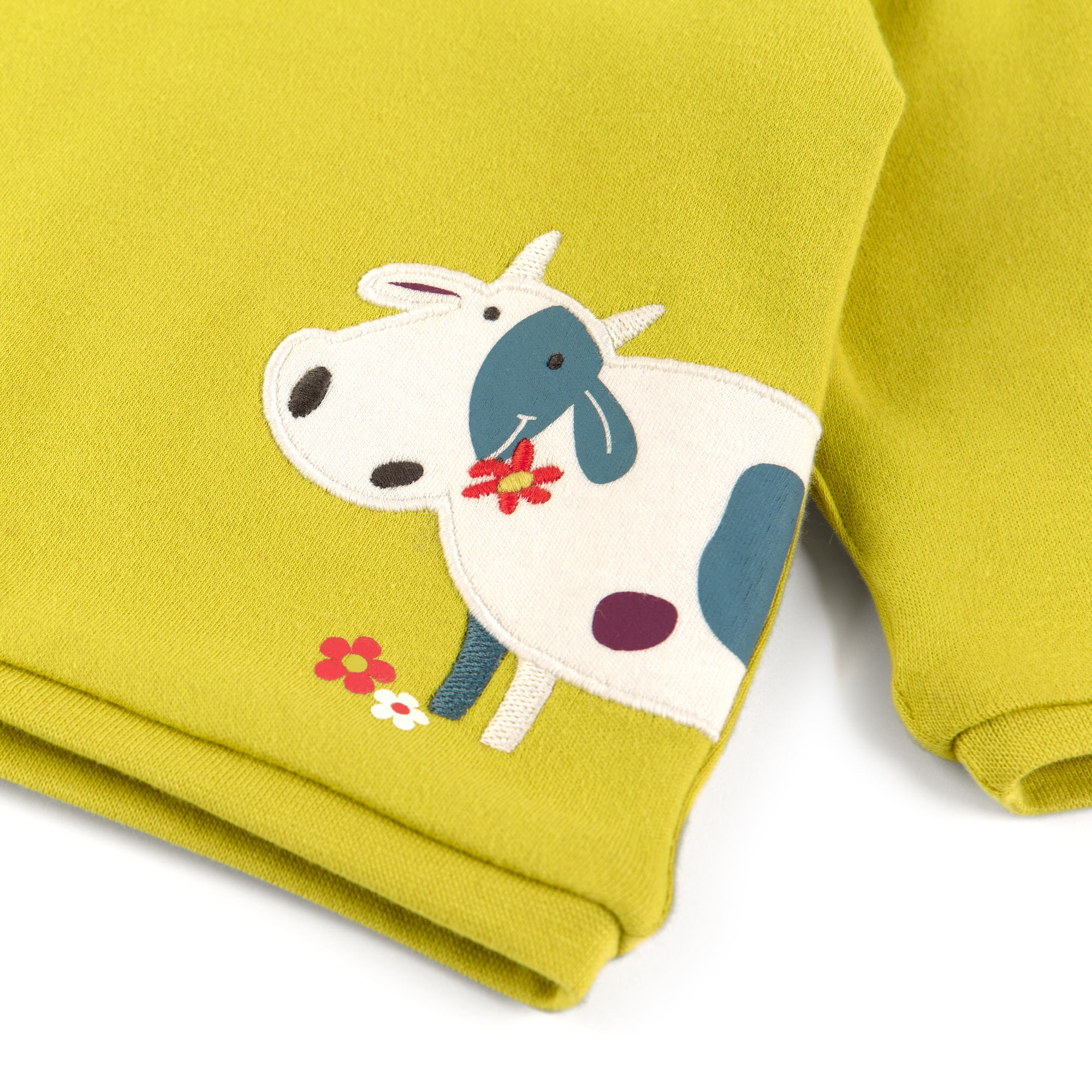 Baby Wendeshirt gelbgrün oder lila/weiß gestreift