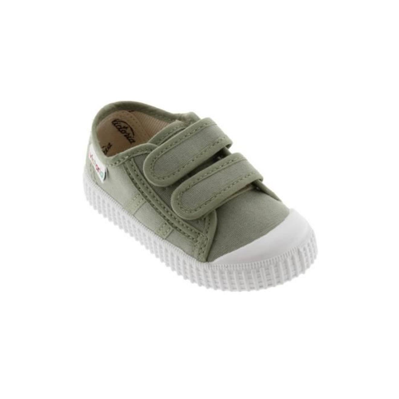 VICTORIA, 136606, Aloe vert