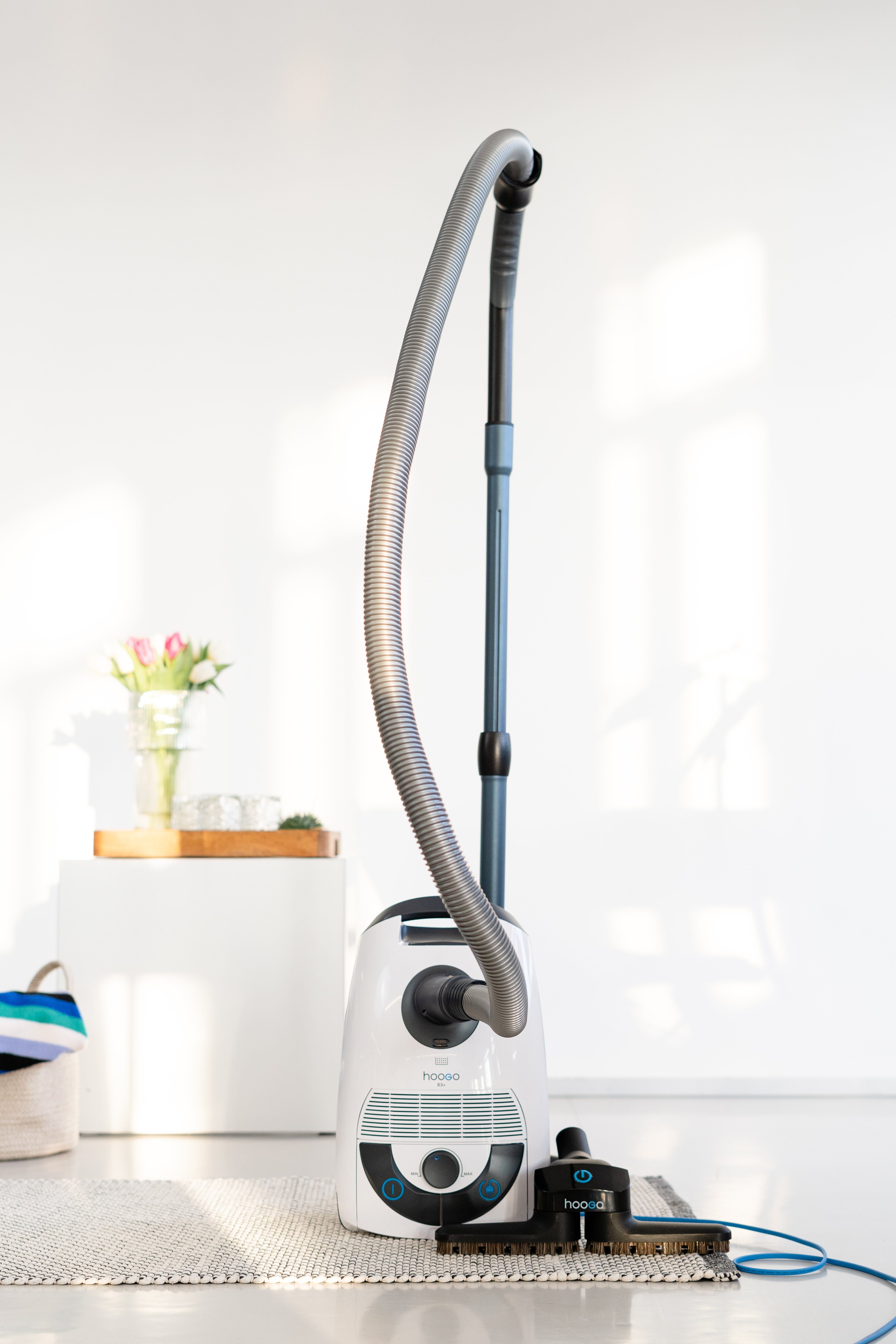 hoogo Bodenstaubsauger B3+ flipflop mit High-End Leichtlaufdüse und flipflop-Düse, 850,00 W, mit Beutel, HEPA-14-Filter, ideal für Allergiker, saugt Milben und Pollen