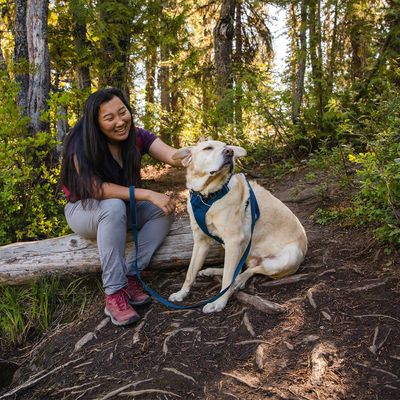 Ruffwear Front Range Hundegeschirr, Blue Moon