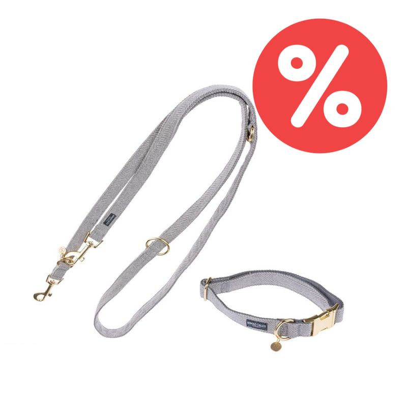Sparset Nomad Tales Calma Hundeleine + Halsband, stone | bitiba %