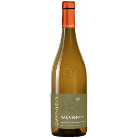 SAUVIGNON - LOIRE REBELLE 2022 - DUMNACUS VIGNERONS