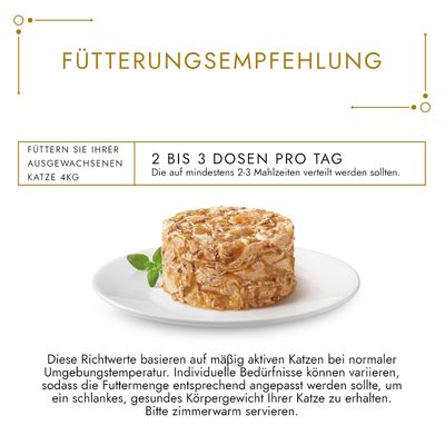 Sparpaket Gourmet Gold Raffiniertes Ragout 48 x 85 g