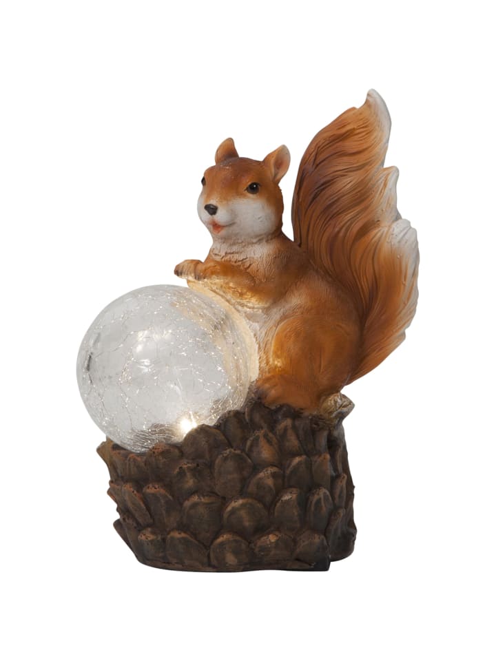 STAR Trading LED Solar-Figur Squirrel, Eichhörnchen günstig kaufen onesize