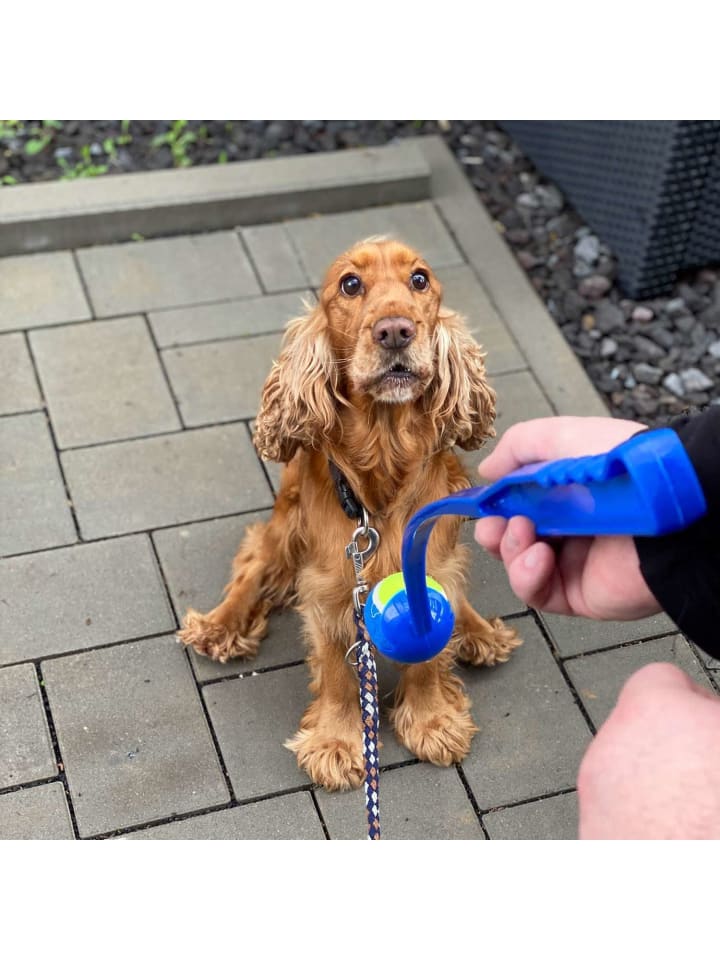 Intirilife Hunde Ballschleuder Ballwurfstab in Blau günstig kaufen onesize