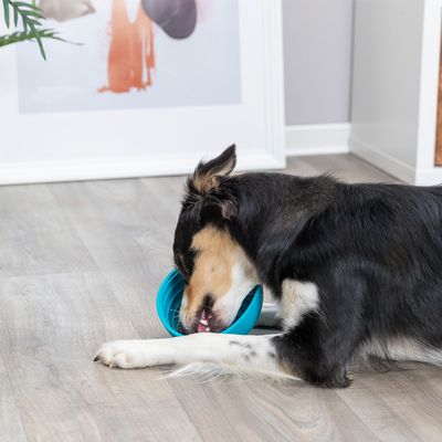 Trixie Lick'n'Snack Bowl