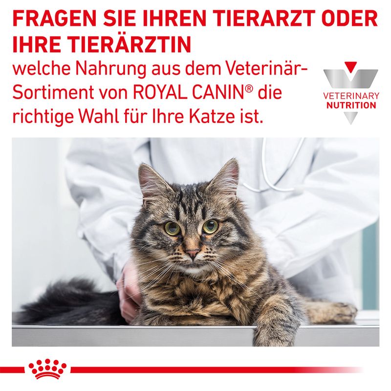 Royal Canin Veterinary Feline Gastrointestinal Kitten | bitiba %
