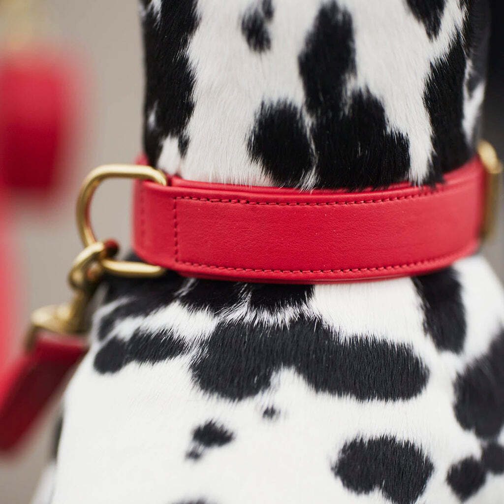 William Walker Hundehalsbänder William Walker Hundehalsband Plain Chili L
