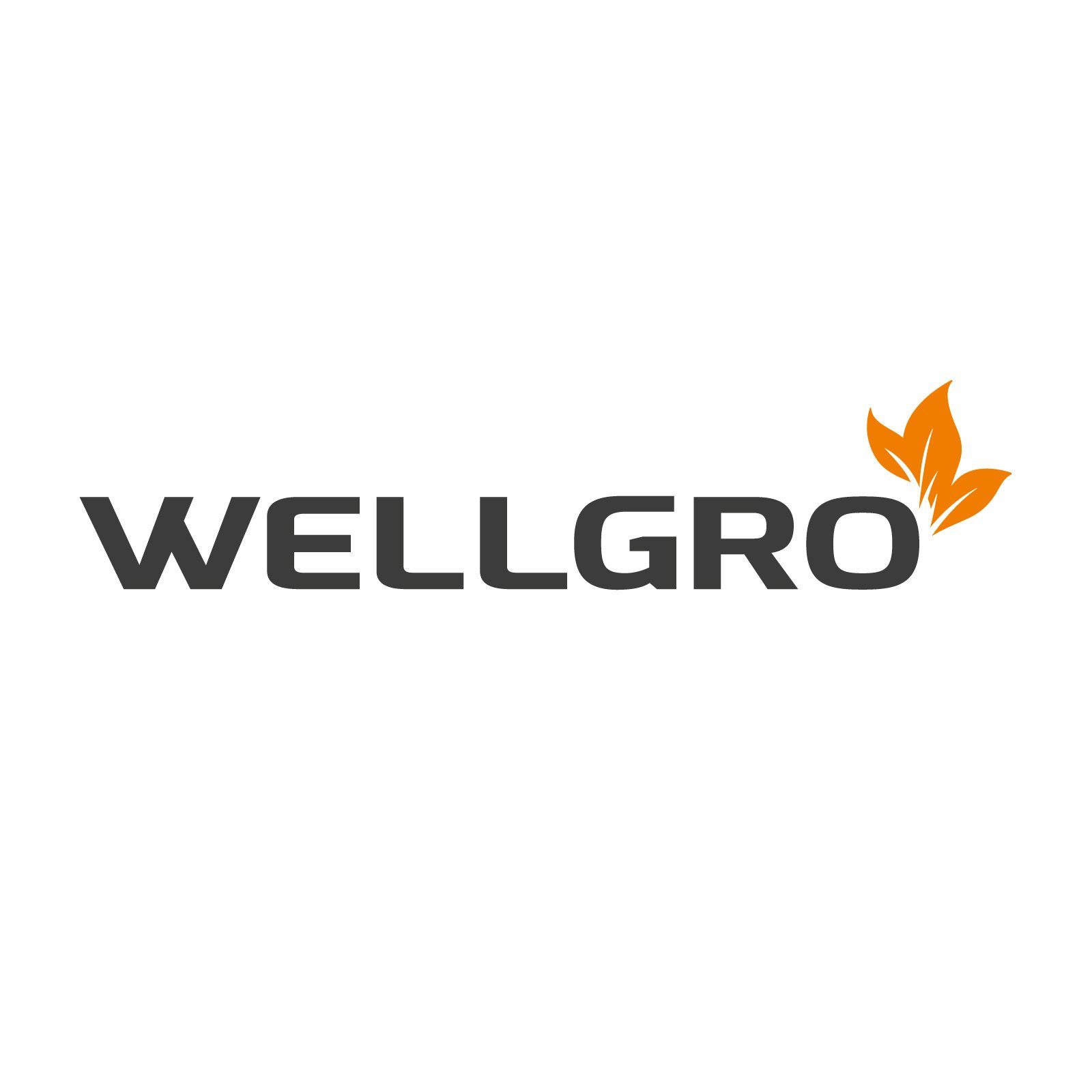 Wellgro Esslöffel Eierlöffel Porzellan - weiße Porzellanlöffel Kaffeelöffel Teelöffe (6 Stück)