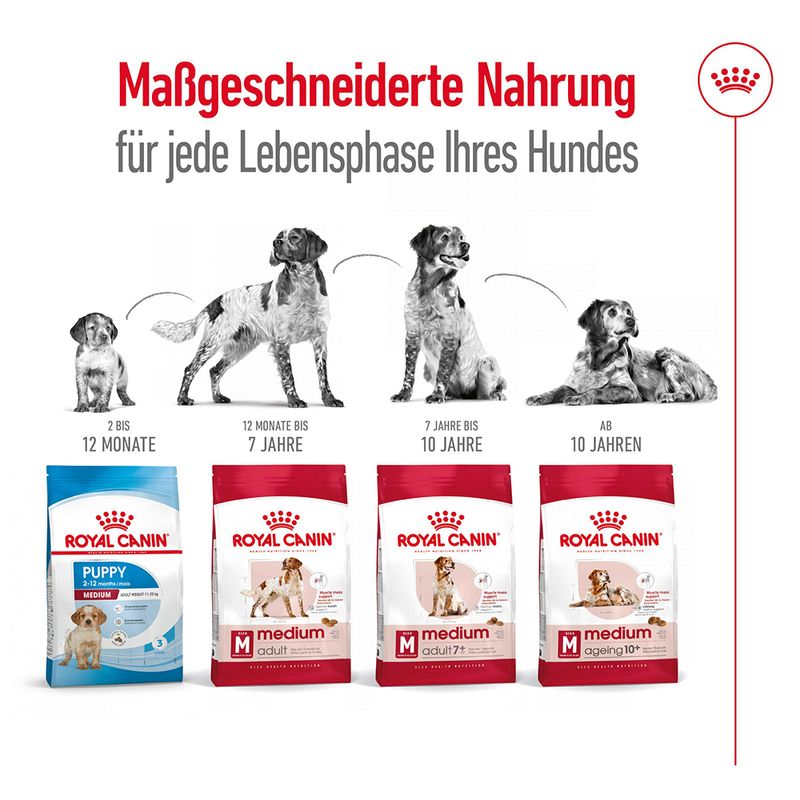Royal Canin Medium Ageing 10+