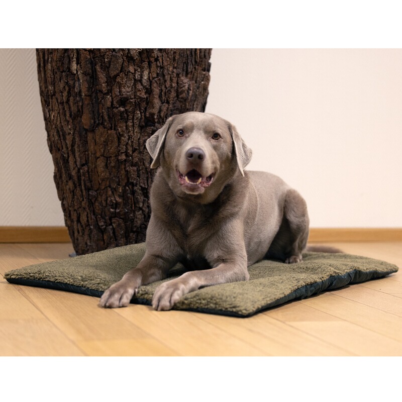 Deerhunter Hundebett Retrieve Dog