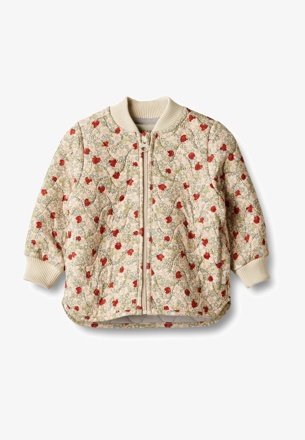 Chaqueta bomber Wheat THERMO LOUI