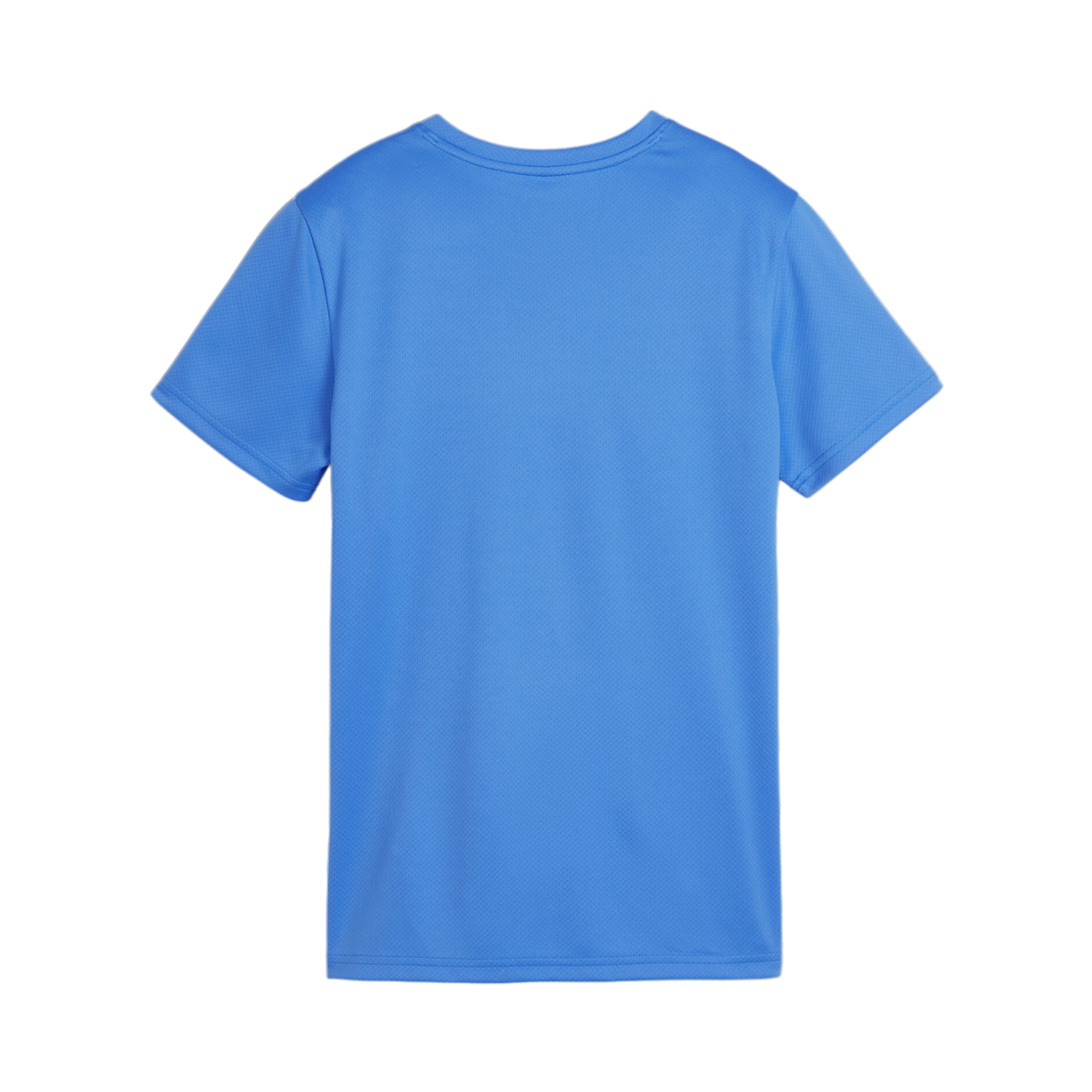 PUMA teamGOAL Trikot Damen Blau F02