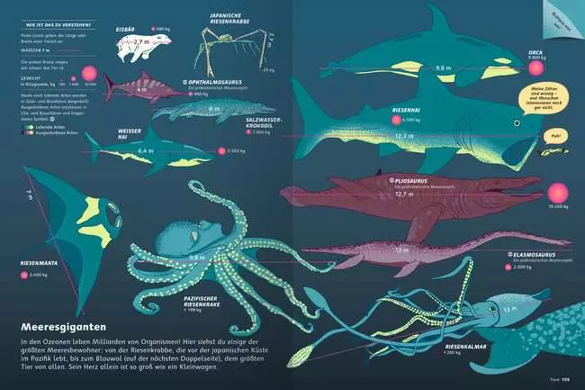 Das große Buch der Infografiken