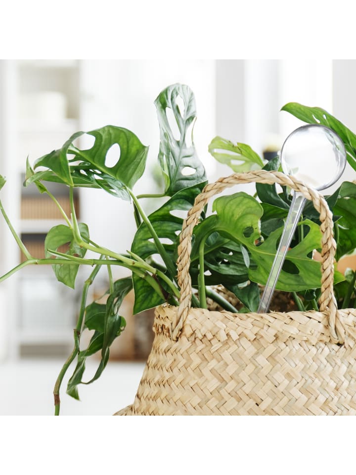 relaxdays 9 x Bewässerungskugel in Transparent - (H)28 x Ø 8 cm günstig kaufen onesize